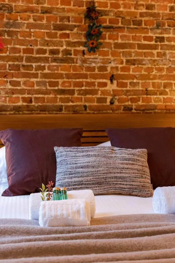 Cozy Apartment With Terrace In The Heart Of アントウェルペン